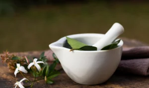 Ayurveda: The Natural Path to Wellness