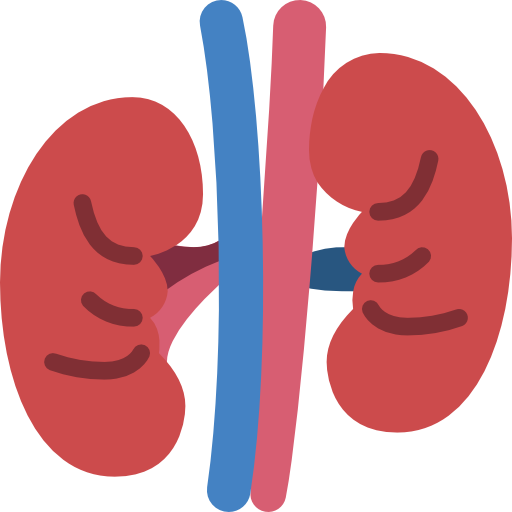 Kidney & Urinary Health
